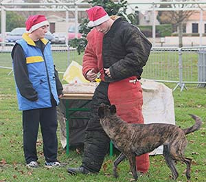 Canine Club Bouviers des Flandres and Co - COPYRIGHT DEPOSE