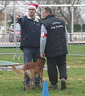 Canine Club Bouviers des Flandres and Co - COPYRIGHT DEPOSE