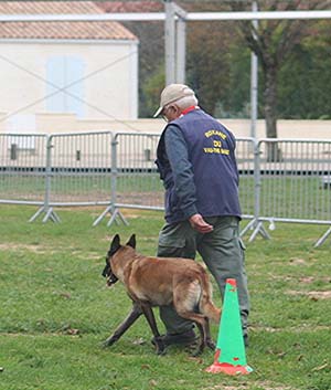 Canine Club Bouviers des Flandres and Co - COPYRIGHT DEPOSE