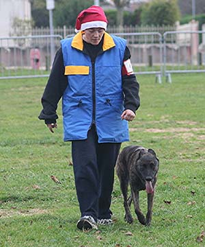 Canine Club Bouviers des Flandres and Co - COPYRIGHT DEPOSE