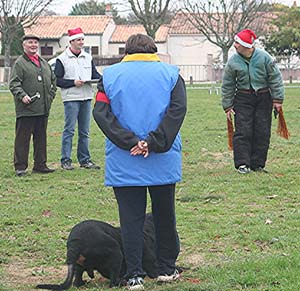 Canine Club Bouviers des Flandres and Co - COPYRIGHT DEPOSE