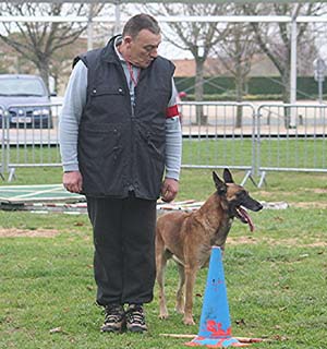 Canine Club Bouviers des Flandres and Co - COPYRIGHT DEPOSE