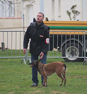 Canine Club Bouviers des Flandres and Co - COPYRIGHT DEPOSE