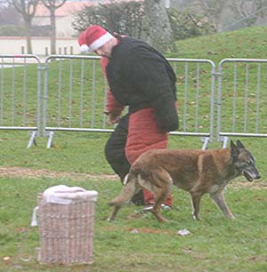 Canine Club Bouviers des Flandres and Co - COPYRIGHT DEPOSE