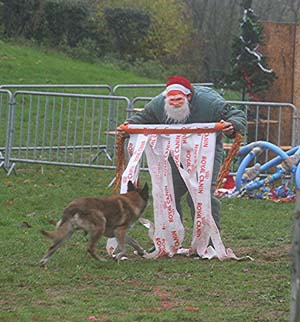 Canine Club Bouviers des Flandres and Co - COPYRIGHT DEPOSE