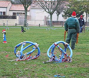 Canine Club Bouviers des Flandres and Co - COPYRIGHT DEPOSE