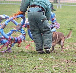 Canine Club Bouviers des Flandres and Co - COPYRIGHT DEPOSE