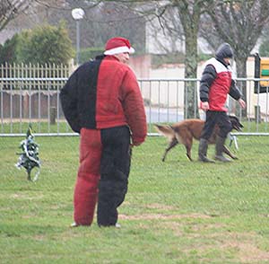 Canine Club Bouviers des Flandres and Co - COPYRIGHT DEPOSE