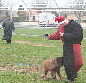 Canine Club Bouviers des Flandres and Co - COPYRIGHT DEPOSE