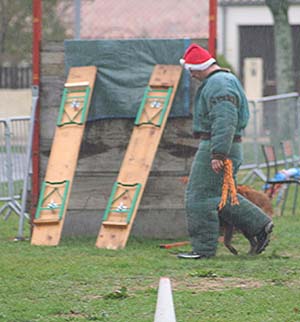 Canine Club Bouviers des Flandres and Co - COPYRIGHT DEPOSE