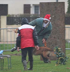 Canine Club Bouviers des Flandres and Co - COPYRIGHT DEPOSE