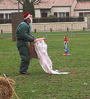 Canine Club Bouviers des Flandres and Co - COPYRIGHT DEPOSE