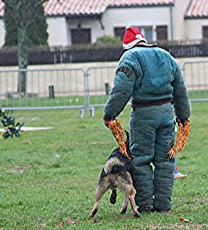 Canine Club Bouviers des Flandres and Co - COPYRIGHT DEPOSE