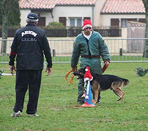 Canine Club Bouviers des Flandres and Co - COPYRIGHT DEPOSE