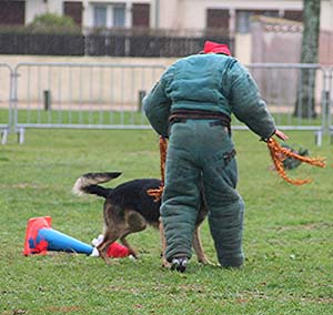 Canine Club Bouviers des Flandres and Co - COPYRIGHT DEPOSE