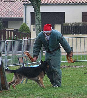 Canine Club Bouviers des Flandres and Co - COPYRIGHT DEPOSE