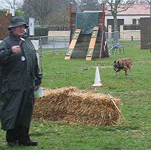 Canine Club Bouviers des Flandres and Co - COPYRIGHT DEPOSE