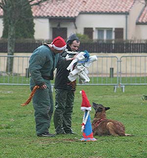 Canine Club Bouviers des Flandres and Co - COPYRIGHT DEPOSE