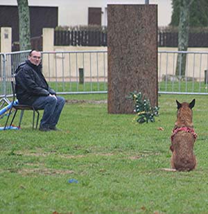 Canine Club Bouviers des Flandres and Co - COPYRIGHT DEPOSE