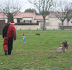 Canine Club Bouviers des Flandres and Co - COPYRIGHT DEPOSE