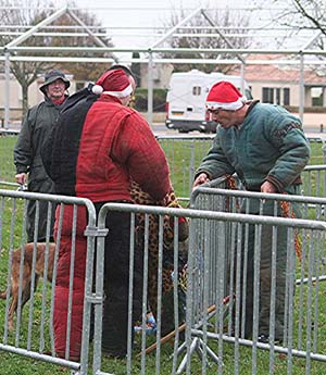 Canine Club Bouviers des Flandres and Co - COPYRIGHT DEPOSE