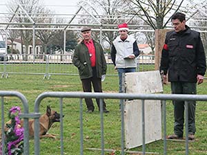 Canine Club Bouviers des Flandres and Co - COPYRIGHT DEPOSE