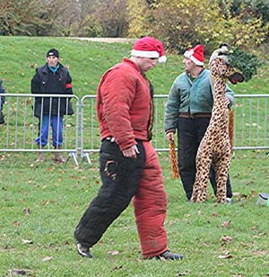 Canine Club Bouviers des Flandres and Co - COPYRIGHT DEPOSE