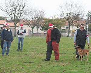 Canine Club Bouviers des Flandres and Co - COPYRIGHT DEPOSE