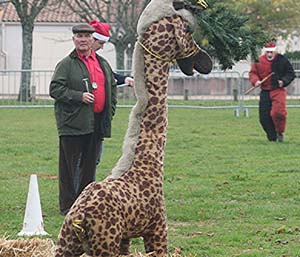 Canine Club Bouviers des Flandres and Co - COPYRIGHT DEPOSE