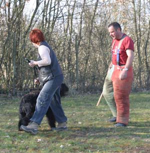 Canine Club Bouviers des Flandres and Co - COPYRIGHT DEPOSE