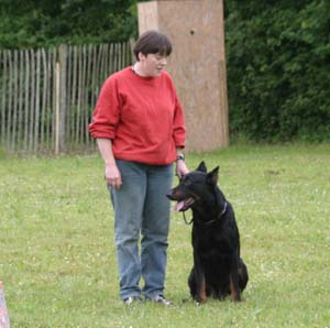 Canine Club Bouviers des Flandres and Co - COPYRIGHT DEPOSE