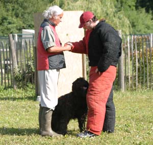 Canine Club Bouviers des Flandres and Co - COPYRIGHT DEPOSE